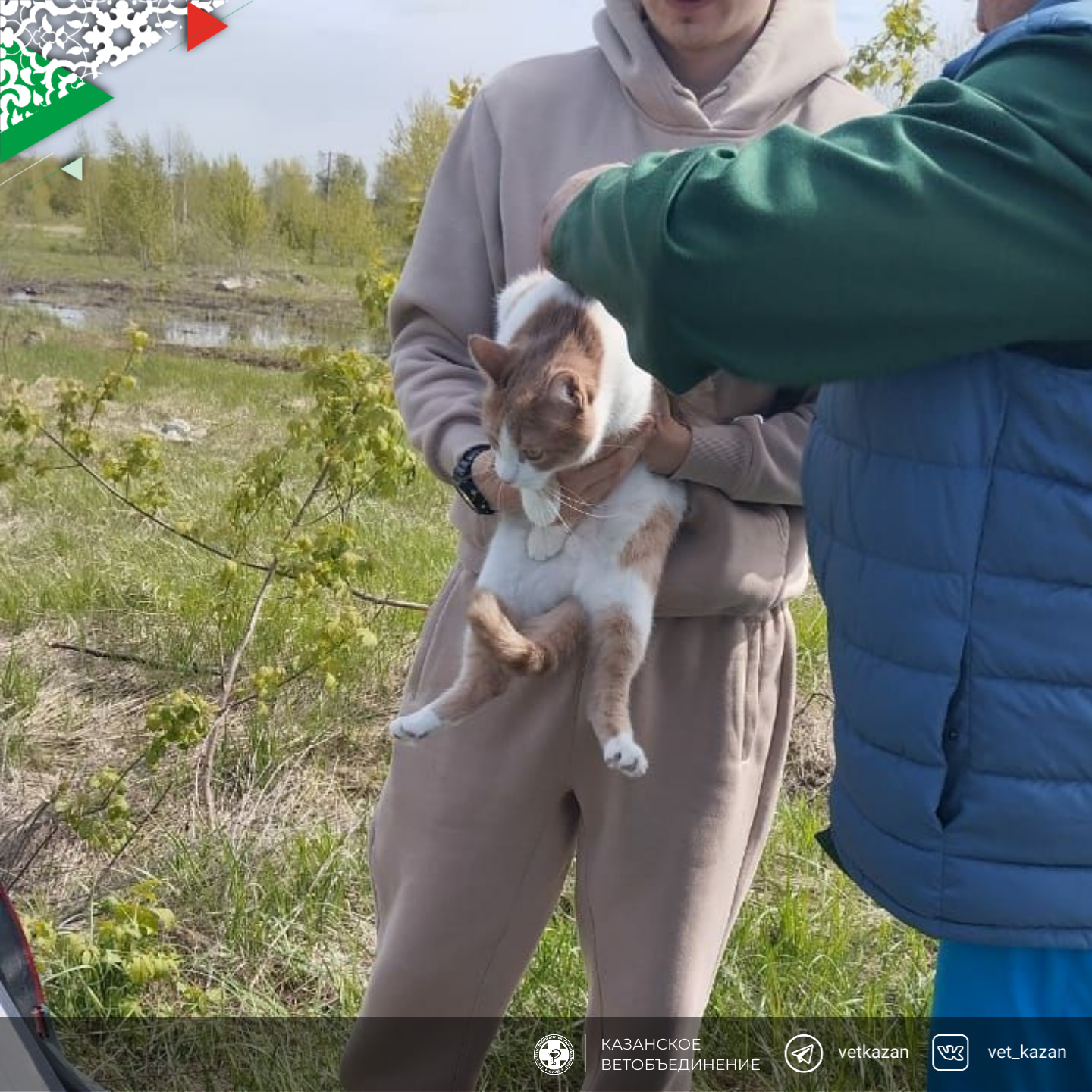 В минувшие выходные в жилых массивах Кировского района города Казани прошла акция бесплатной вакцинации животных от бешенства