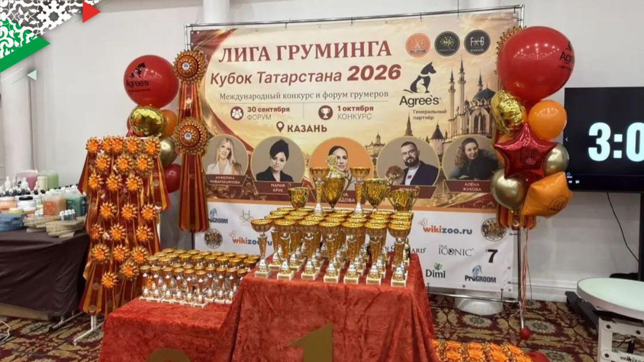 Когда расчёска и ножницы творят чудеса!