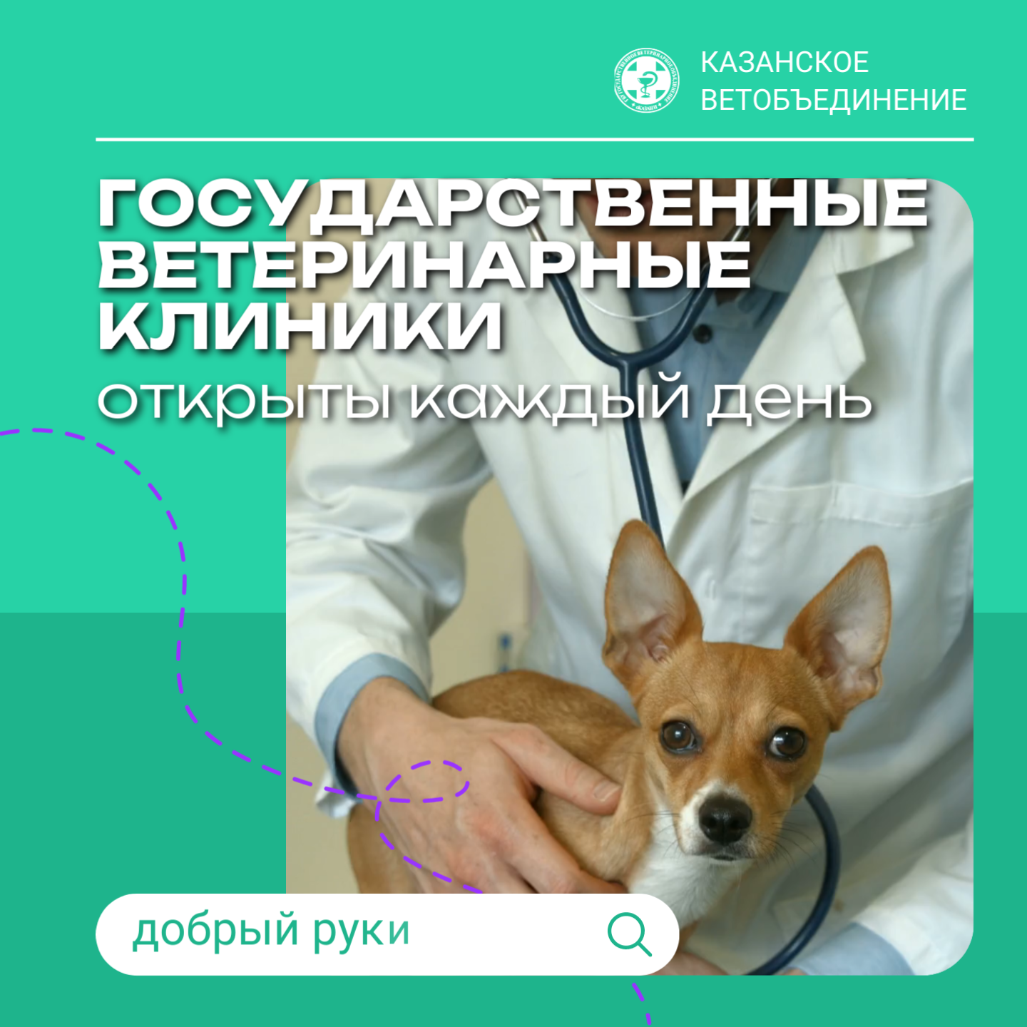 Что включает осмотр ветеринарного врача?